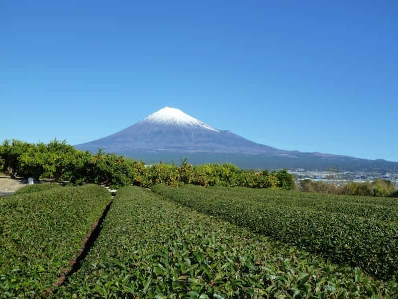 富士山風景